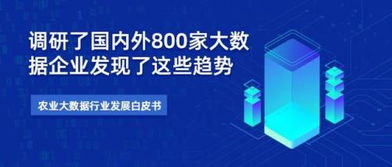农业大数据白皮书揭示关键趋势 全球800家企业调研洞察